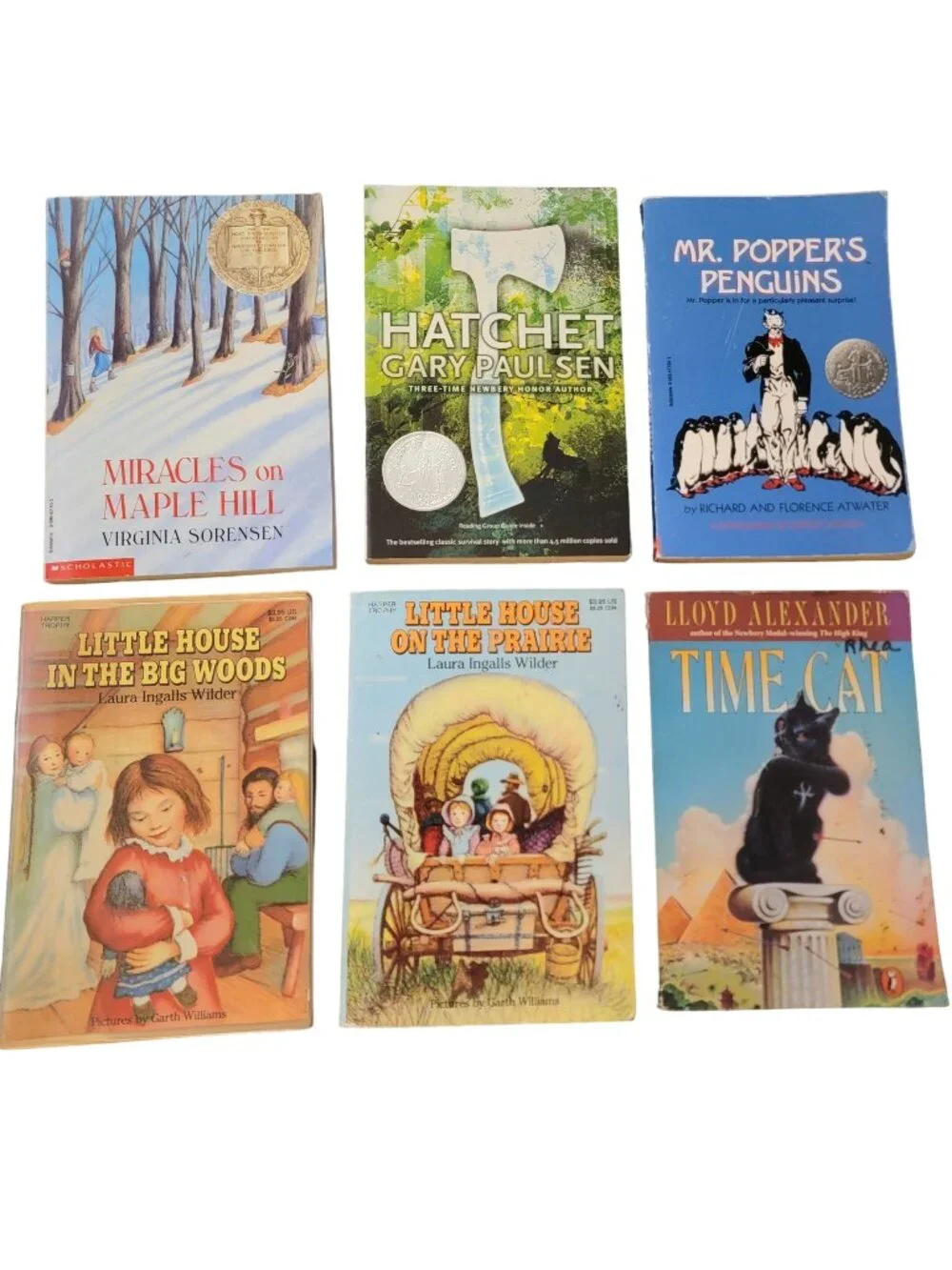 Award Winners Chapter Book Lot Children Kid Learning Read Teacher School Library